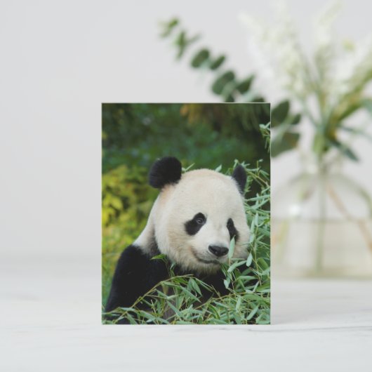 Panda Postkarte (Stehend Vorderseite)