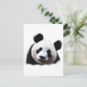Panda Postkarte (Stehend Vorderseite)