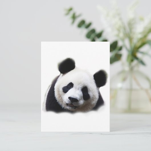 Panda Postkarte (Stehend Vorderseite)
