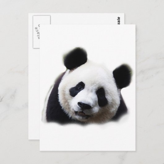 Panda Postkarte (Vorne/Hinten)