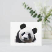Panda Postkarte (Stehend Vorderseite)
