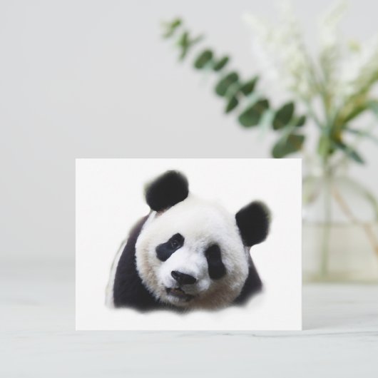 Panda Postkarte (Stehend Vorderseite)