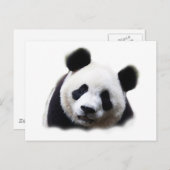 Panda Postkarte (Vorne/Hinten)