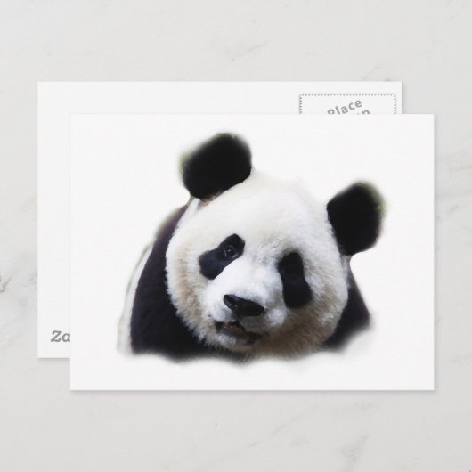 Panda Postkarte (Vorne/Hinten)