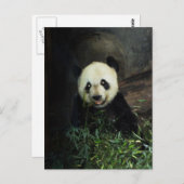 Panda Postkarte (Vorne/Hinten)