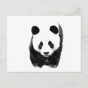 Panda Postkarte
