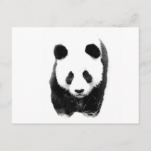 Panda Postkarte (Vorderseite)