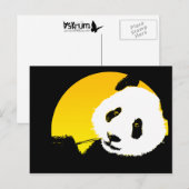 Panda. Postkarte (Vorne/Hinten)