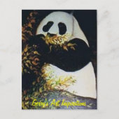 PANDA POSTKARTE (Vorderseite)