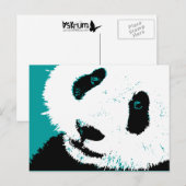 Panda. Postkarte (Vorne/Hinten)