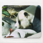 Panda-Profil Mousepad (Vorne)