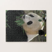 Panda Puzzle (Horizontal)