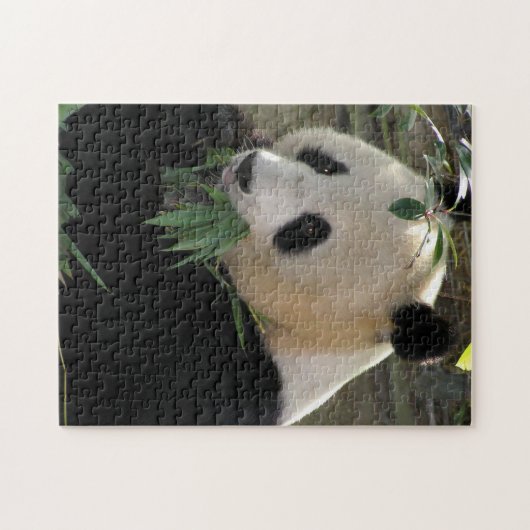 Panda Puzzle (Horizontal)
