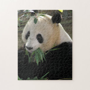 Panda Puzzle