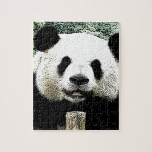 Panda Puzzle