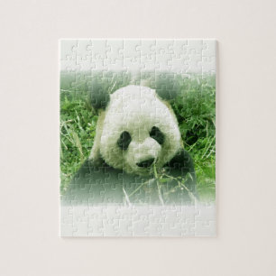 Panda Puzzle