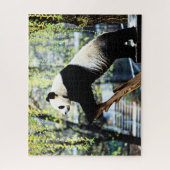 Panda Puzzle (Vertikal)