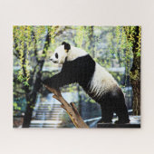 Panda Puzzle (Horizontal)