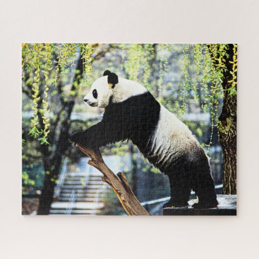 Panda Puzzle (Horizontal)