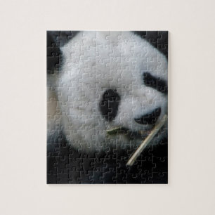 Panda Puzzle