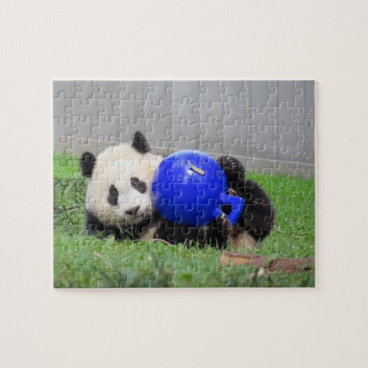 Panda Puzzle - Xiao Qi ji, der Wunderkrug (Horizontal)