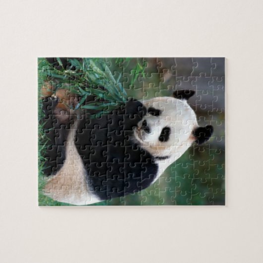 Panda-Puzzlespiel Puzzle (Horizontal)