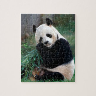 Panda-Puzzlespiel Puzzle
