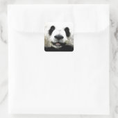 Panda Quadratischer Aufkleber (Tasche)
