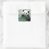 Panda Quadratischer Aufkleber (Tasche)