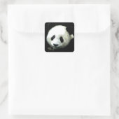 Panda Quadratischer Aufkleber (Tasche)