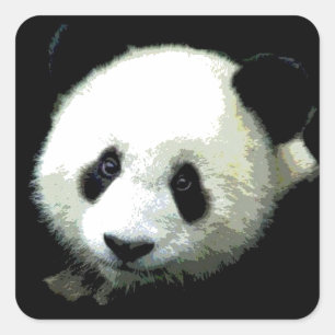 Panda Quadratischer Aufkleber