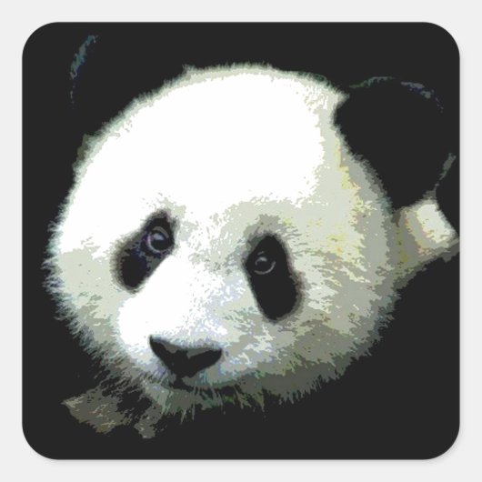 Panda Quadratischer Aufkleber (Vorderseite)