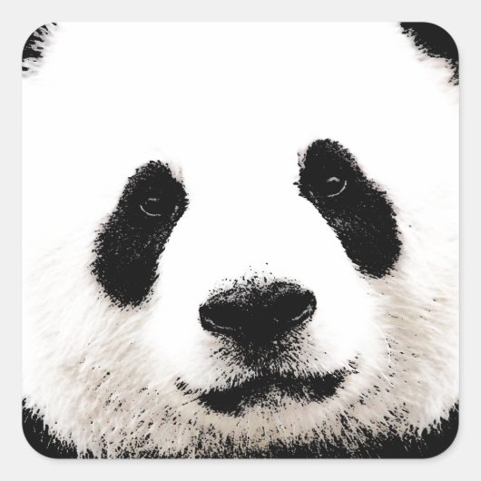 Panda Quadratischer Aufkleber (Vorderseite)