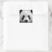 Panda Quadratischer Aufkleber (Tasche)
