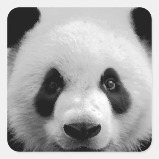 Panda Quadratischer Aufkleber (Vorderseite)