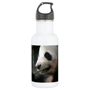 Panda-RegenbogenZebra Stripes personalisiertes Edelstahlflasche