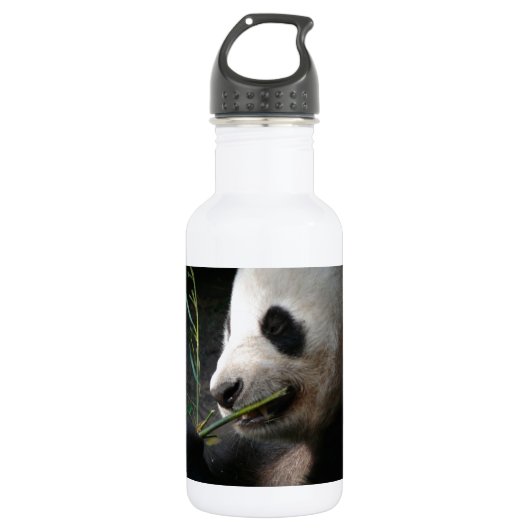 Panda-RegenbogenZebra Stripes personalisiertes Edelstahlflasche (Vorderseite)