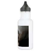 Panda-RegenbogenZebra Stripes personalisiertes Edelstahlflasche (Rechts)