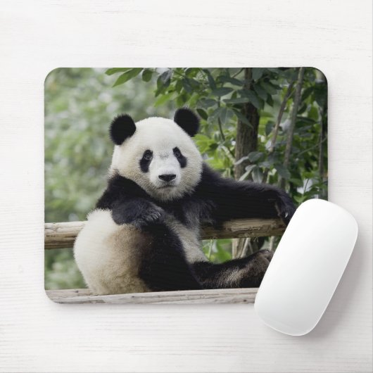 Panda Relax Time Mouse Pad Mousepad (Mit Mouse)