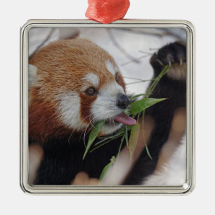 Panda-rote Tierausdruck niedlich Ornament Aus Metall