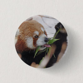 Panda-Rottierdruck niedlich Button