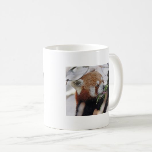 Panda-Rottierdruck niedlich Kaffeetasse (VorderseiteRechts)