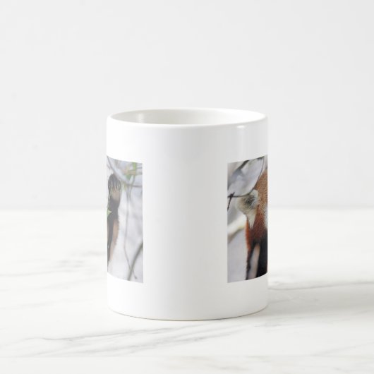 Panda-Rottierdruck niedlich Kaffeetasse (Mittel)