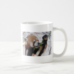Panda-Rottierdruck niedlich Kaffeetasse