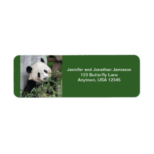 Panda-Rücksendeadressen-Aufkleber, grün