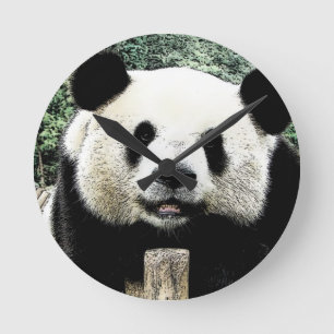 Panda Runde Wanduhr