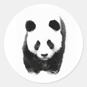 Panda Runder Aufkleber