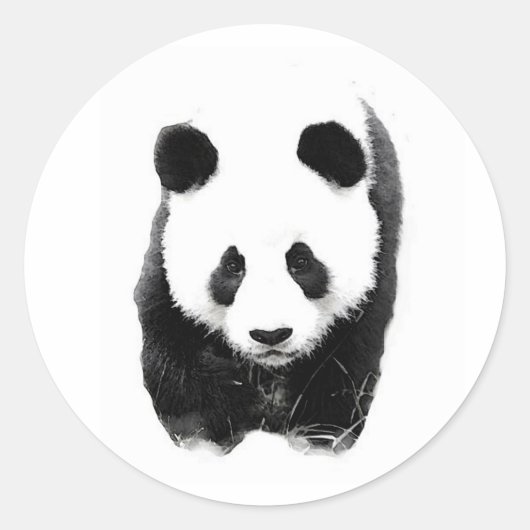 Panda Runder Aufkleber (Vorderseite)
