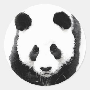 Panda Runder Aufkleber