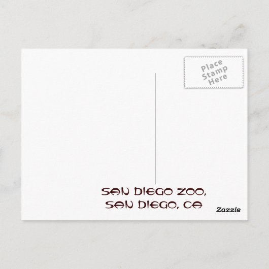 Panda San Diego Zoo Postcard Postkarte (Rückseite)